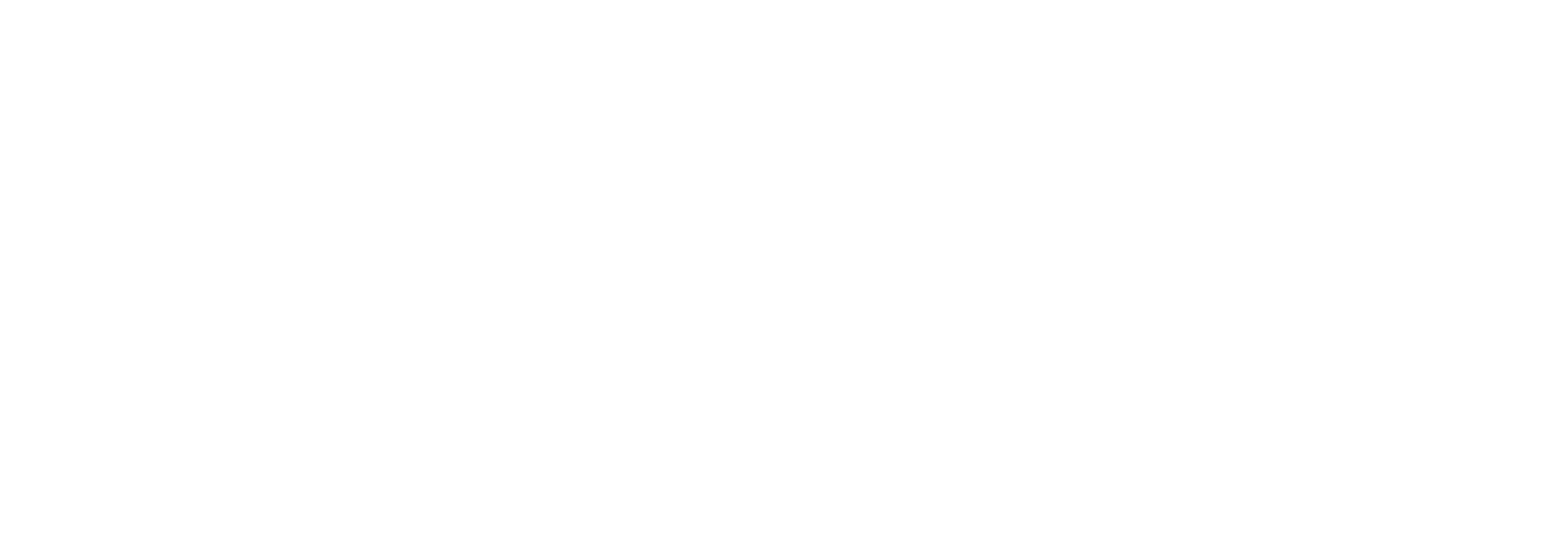 Türk Sahası Hareketi